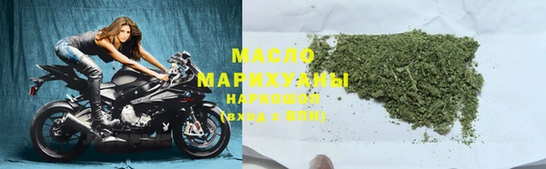 индика Михайловск