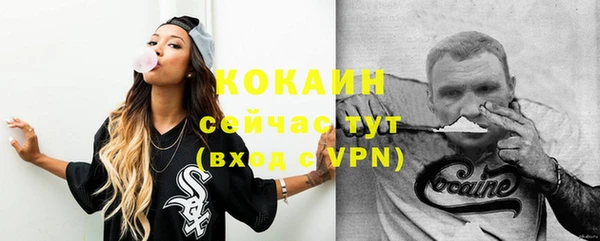 индика Михайловск