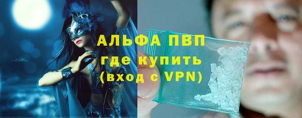 индика Михайловск