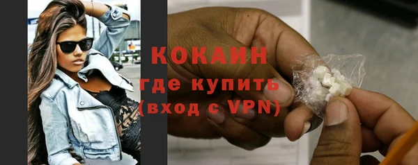 индика Михайловск