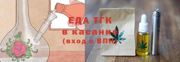 индика Михайловск
