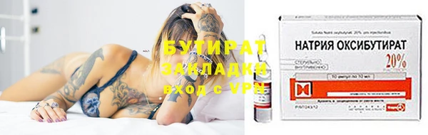 индика Михайловск