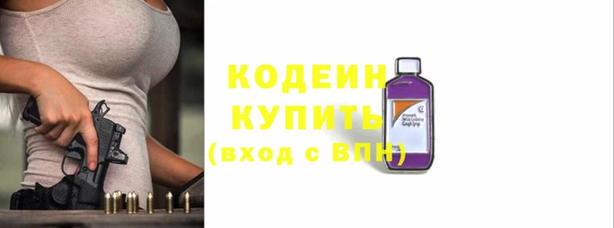 индика Михайловск