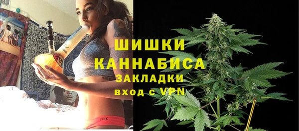 индика Михайловск
