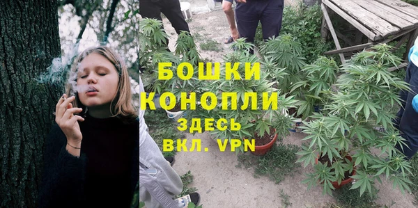 индика Михайловск
