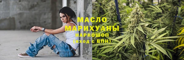 индика Михайловск