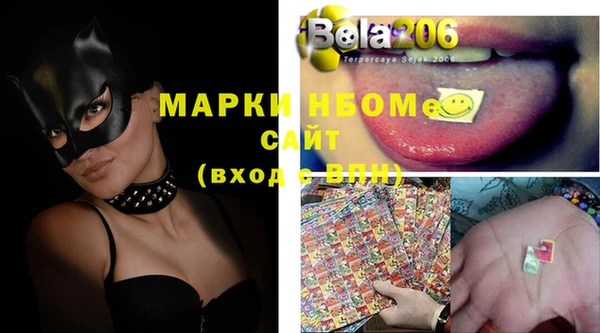 индика Михайловск