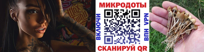 Галлюциногенные грибы мухоморы Норильск