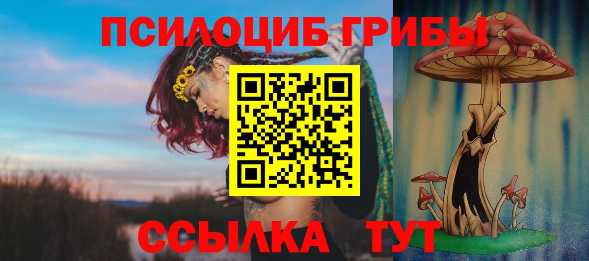 Норильск  Галлюциногенные грибы Psilocybine cubensis  Псилоцибиновые грибы Magic Shrooms  Вход с VPN 