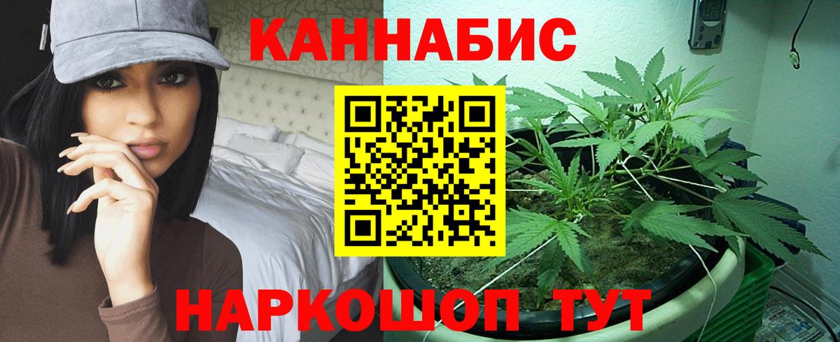 Бошки марихуана THC 21% Норильск